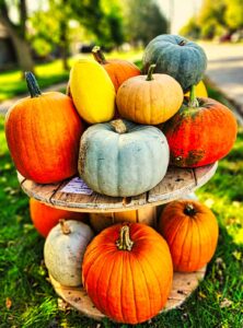 Pumpkins and winter squash arranged on a wooden spool