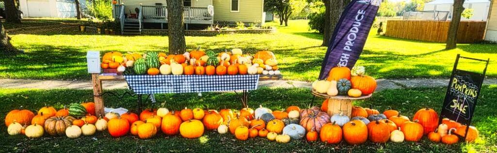 Grumpy Pants Plants roadside stand full of pumpkins, winter squash, and melons