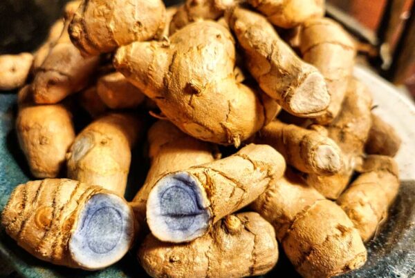 Black turmeric rhizomes (curcuma caesia) on a hand-thrown stoneware plate