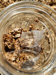 Jar with plastic eating mushrooms and strips of plastic from single use water bottles