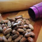 Roasted whole cacao beans on wooden cutting board, ready to crush and winnow