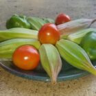 Fresh garden produce- okra, bell peppers, and tomatoes