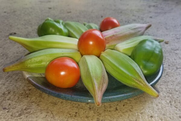 Fresh garden produce- okra, bell peppers, and tomatoes