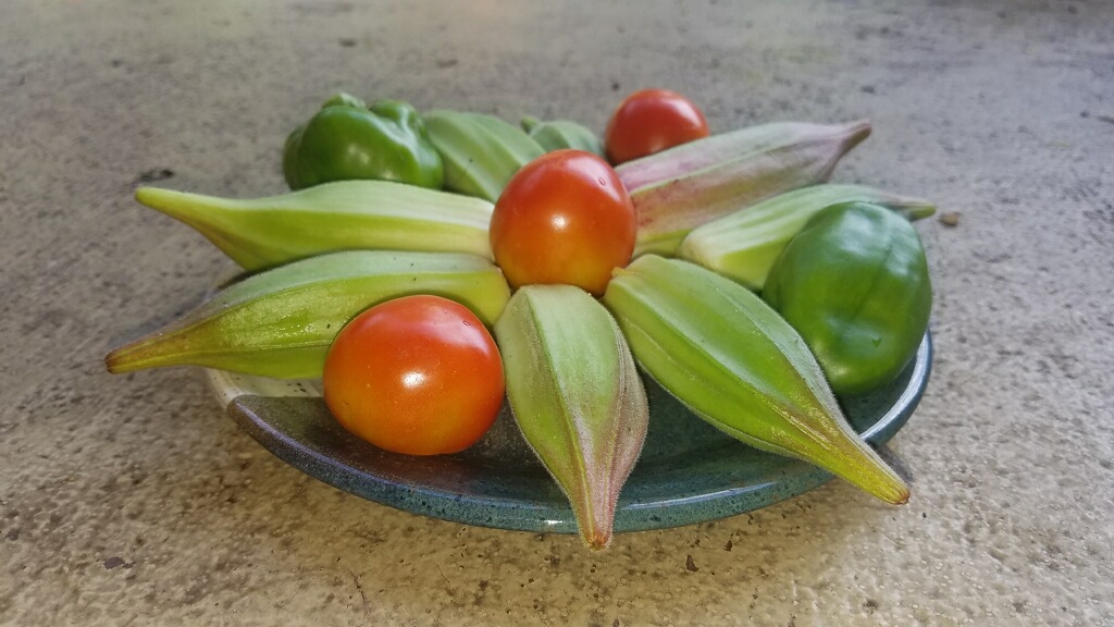 How to Grow Amazing Okra