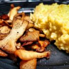 Pan-fried king trumpet mushrooms with risotto