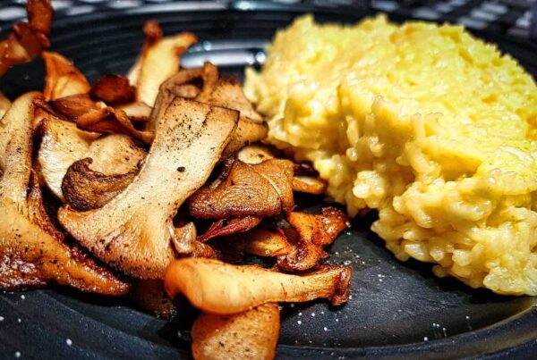 Pan-fried king trumpet mushrooms with risotto