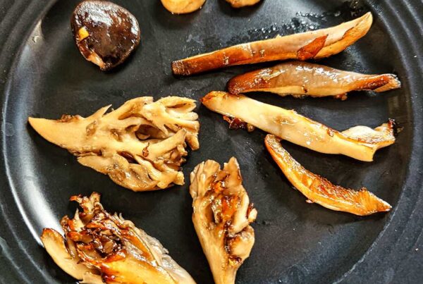 Pan-friend mushrooms (king trumpet on top, oyster on right, and maitake on left)