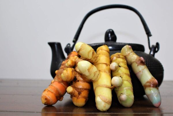 Turmeric rhizome rainbow with black tea pot (Curcuma longa and curcuma caesia)